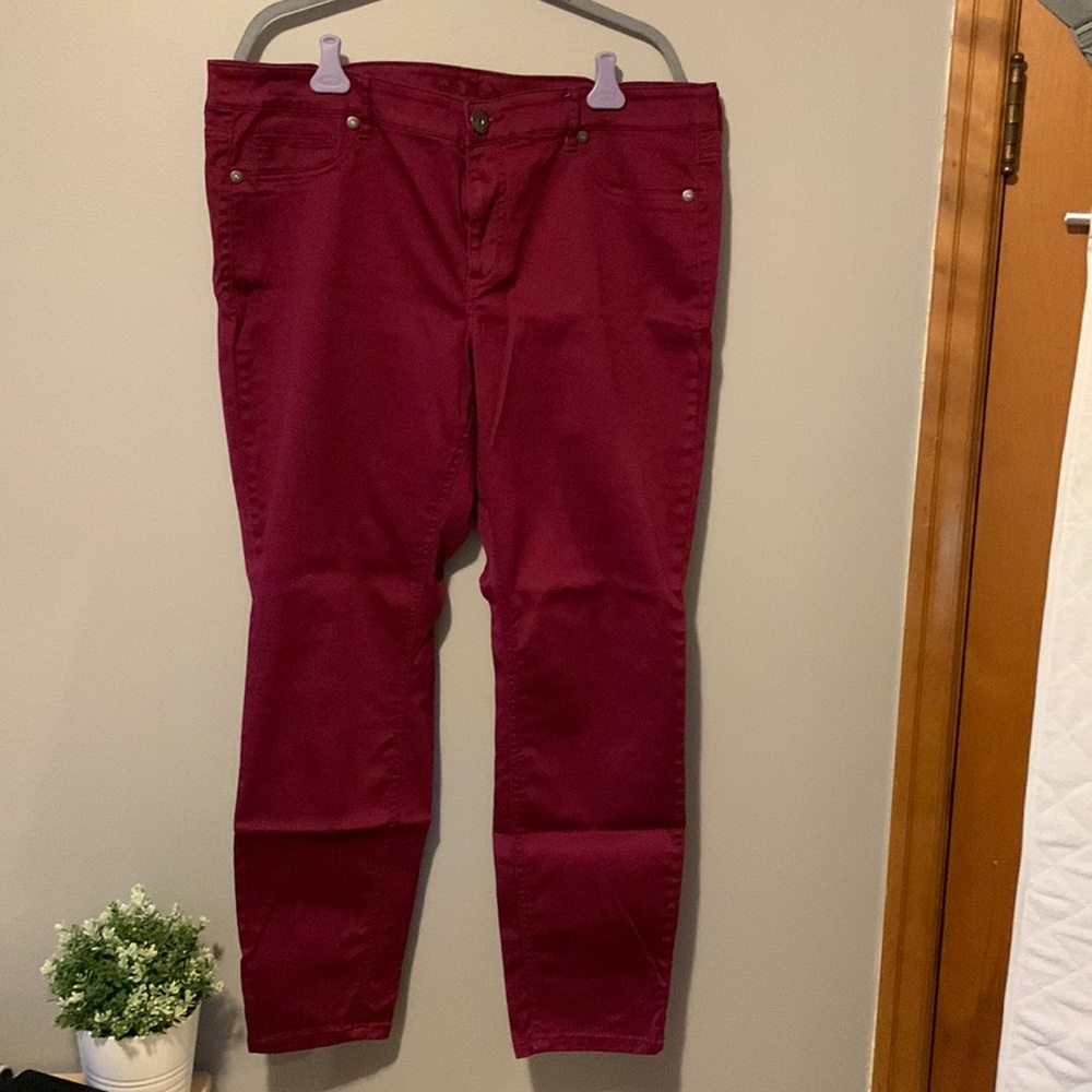 Maurices Jeggings Berry 20W